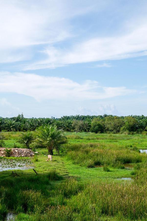 B3 Hotel Nakhon Si Thammarat Zewnętrze zdjęcie